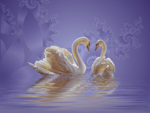 14235 (a): :1024x768